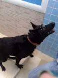 LUA