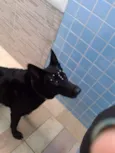 LUA