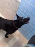 LUA
