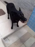 LUA