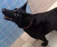 LUA