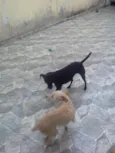 Fani e Dada 