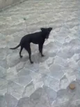 Fani e Dada 