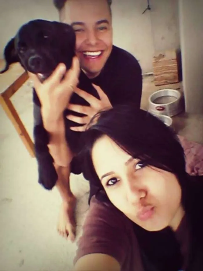 Cachorro raça labrador idade 2 a 6 meses nome Bethoven