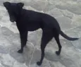 Fani e Dada 
