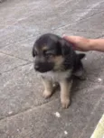 Indefinido