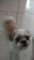théo
