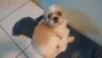 théo