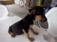 Kiko