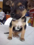 Kika