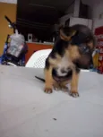 Kika