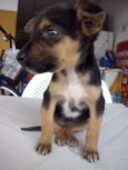Kika