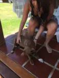 ????