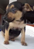Kiko
