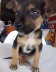 Kika