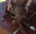 ????