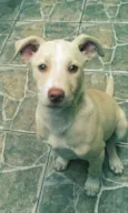 Marley