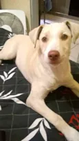 Marley