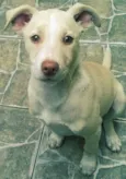 Marley