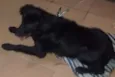Lili