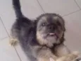 tufao
