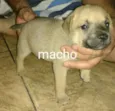 sem nome