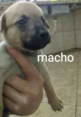 sem nome