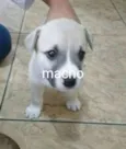 sem nome