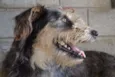 LARISSA, doce Lari!