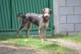 LARISSA, doce Lari!