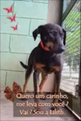 LILITH, doce e meiga!