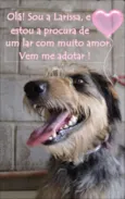LARISSA, linda e al