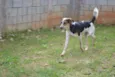 ALEX, pequeno prínc