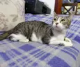 Giovanna