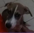 Mel 