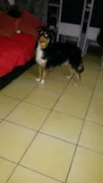 medio