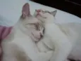 Luna e Pietro