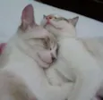 Luna e Pietro