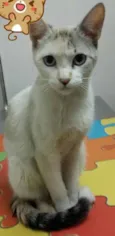 Lola