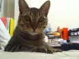 Mikito