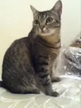 Mia