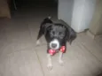 MEL