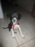 MEL