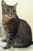 Mia