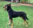 DEDÉ