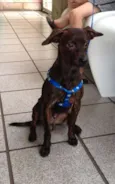 ZEKA