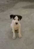 lLurdinha