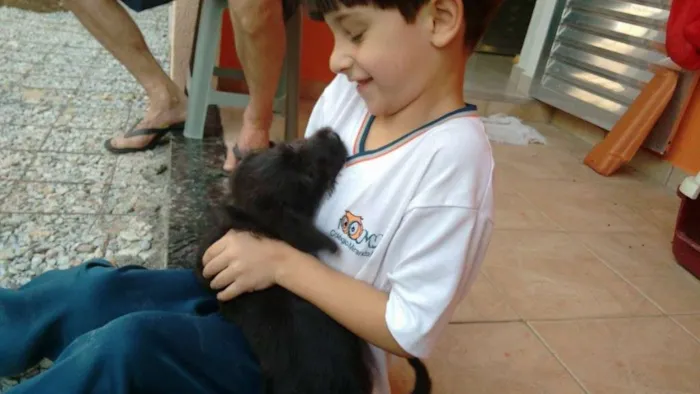 Cachorro ra a SRD idade Abaixo de 2 meses nome Nina