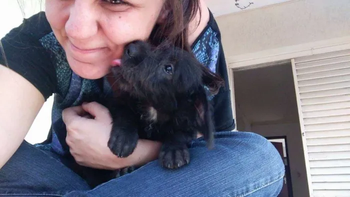 Cachorro ra a SRD idade Abaixo de 2 meses nome Nina