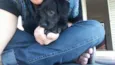 Nina